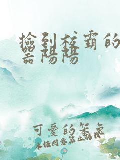 捡到校霸的遥控器阳阳