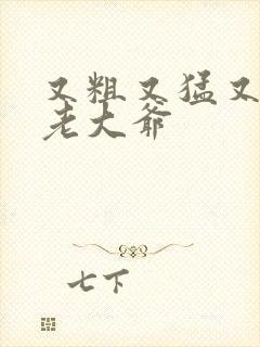 又粗又猛又大爽老大爷