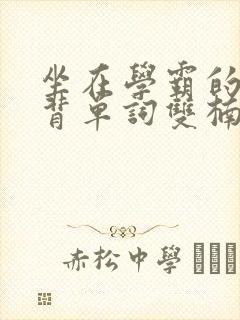 坐在学霸的棍子背单词双楠