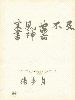 寒风也不及她追书神器