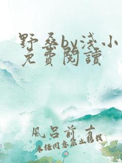 野桑by浅小说免费阅读