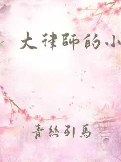 大律师的小老婆