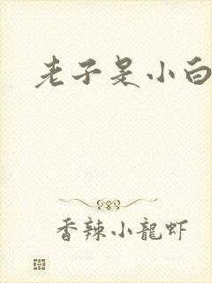老子是小白脸