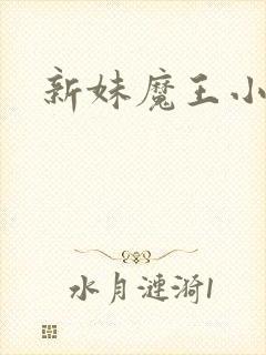 新妹魔王小说