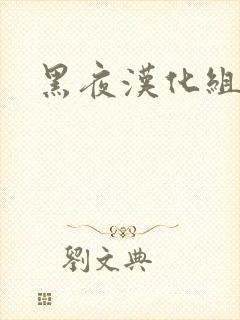 黑夜汉化组