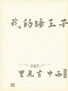 我的睡王子殿下