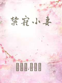 禁宠小妻