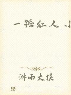 一号红人 小说