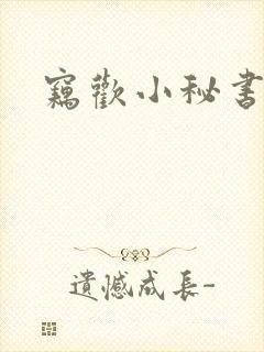 窃欢小秘书