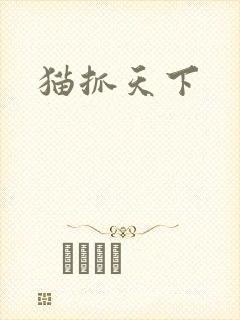 猫抓天下