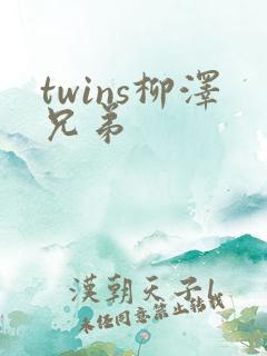 twins柳泽兄弟