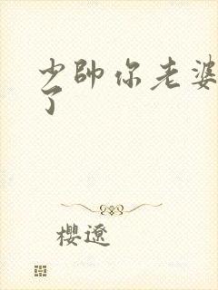 少帅你老婆又跑了