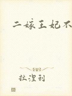 二嫁王妃不好惹