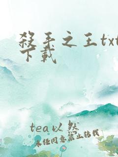 杀手之王txt下载