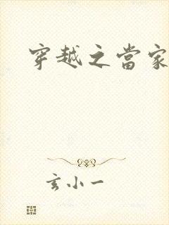 穿越之当家王妃