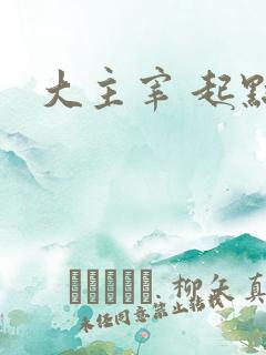 大主宰 起点