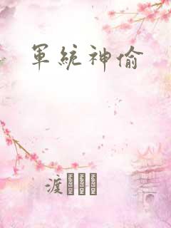 军统神偷