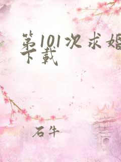 第101次求婚下载