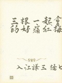 三根一起会坏掉的好痛红梅