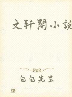 文轩阁小说网