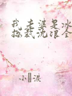 我老婆是冰山女总裁沈浪全集