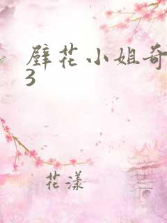 壁花小姐奇遇记3