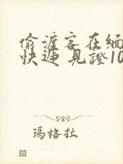 偷渡客在缅北送快递 见证100种逃亡