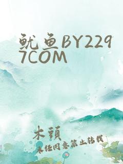 鱿鱼BY2297COM