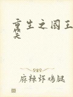 重生之国王的微笑