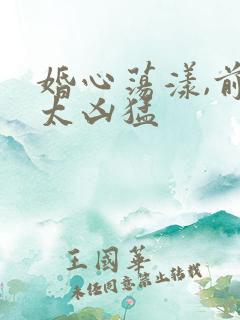 婚心荡漾,前夫太凶猛
