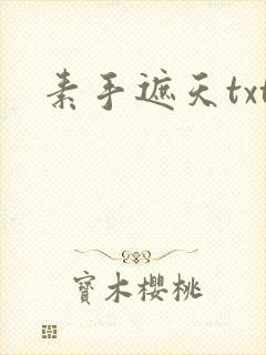 素手遮天txt