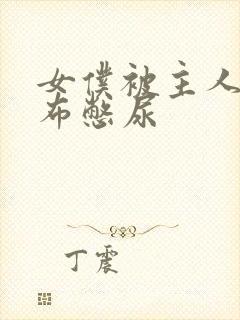 女仆被主人用胶布憋尿