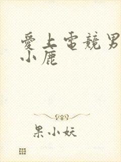 爱上电竞男神林小鹿