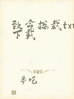 致命总裁txt下载