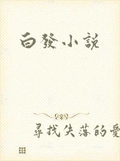 白发小说