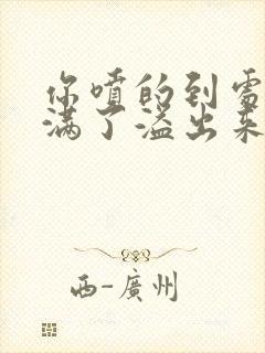 你喷的到处都是满了溢出来了