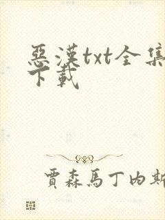 恶汉txt全集下载