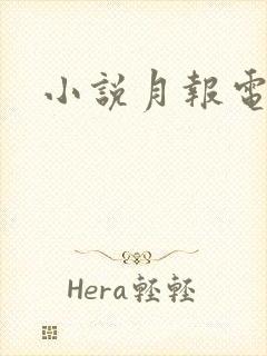 小说月报电子版