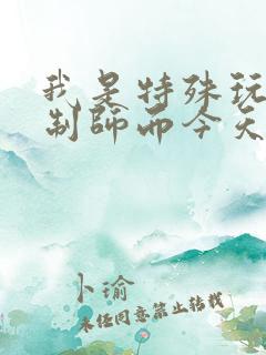 我是特殊玩具定制师而今天的客户