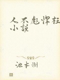 人不彪悍枉少年小说