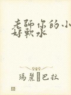 老师你的小兔子好软水