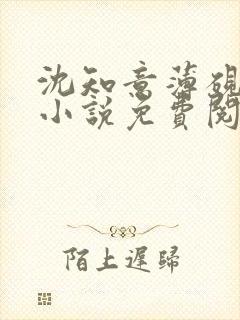 沈知意薄砚霆的小说免费阅读