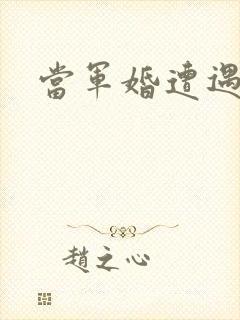 当军婚遭遇爱情