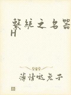 系统之名器勾男H