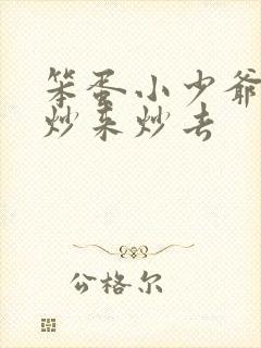 笨蛋小少爷又被炒来炒去