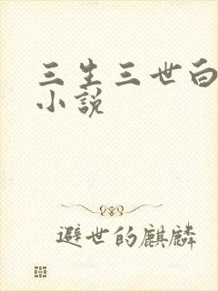 三生三世白暮泪小说