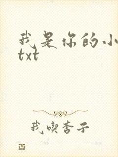 我是你的小小狗txt