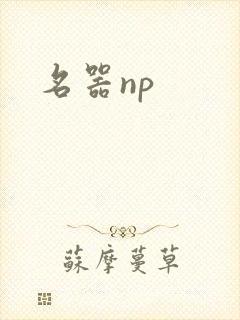 名器np