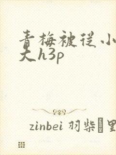 青梅被从小摸到大h3p