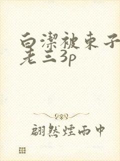 白洁被东子老二老三3p